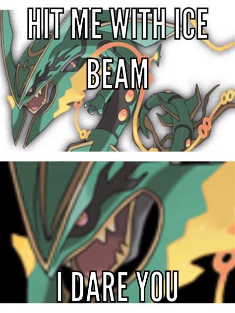 rayquaza memes|pokemon rayquaza weakness.